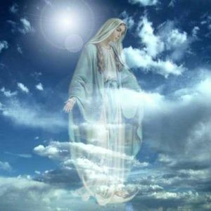 Meet your Posher, Víctor hugo